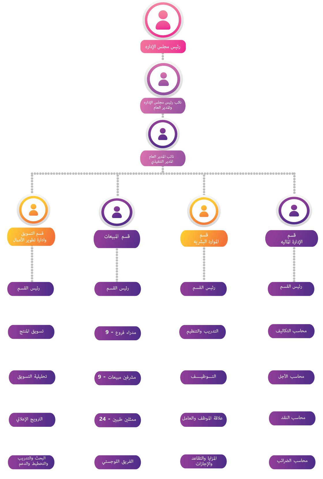 organazation Structure 
